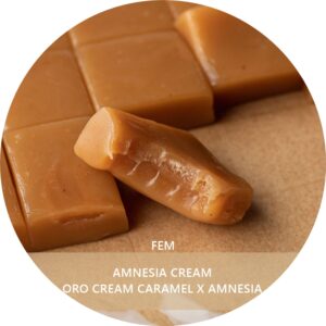 AMNESIA CREAM