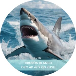 TIBURÓN BLANCO