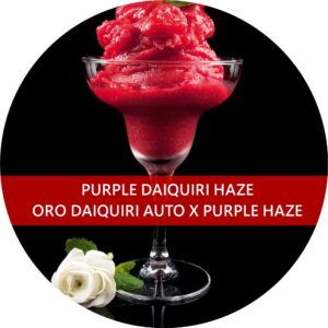 PURPLE DAIQUIRI HAZE